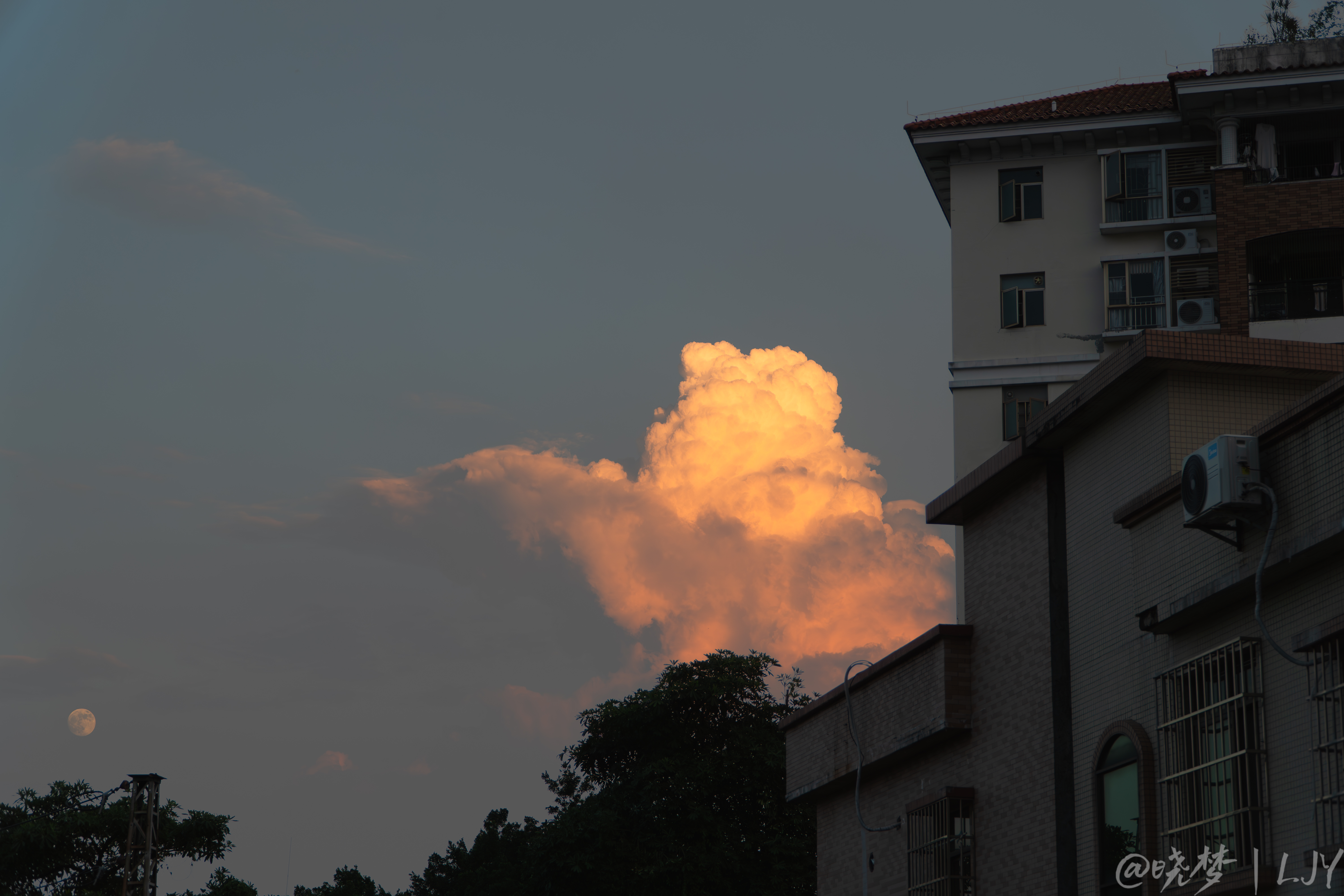 夏天最后的呐喊