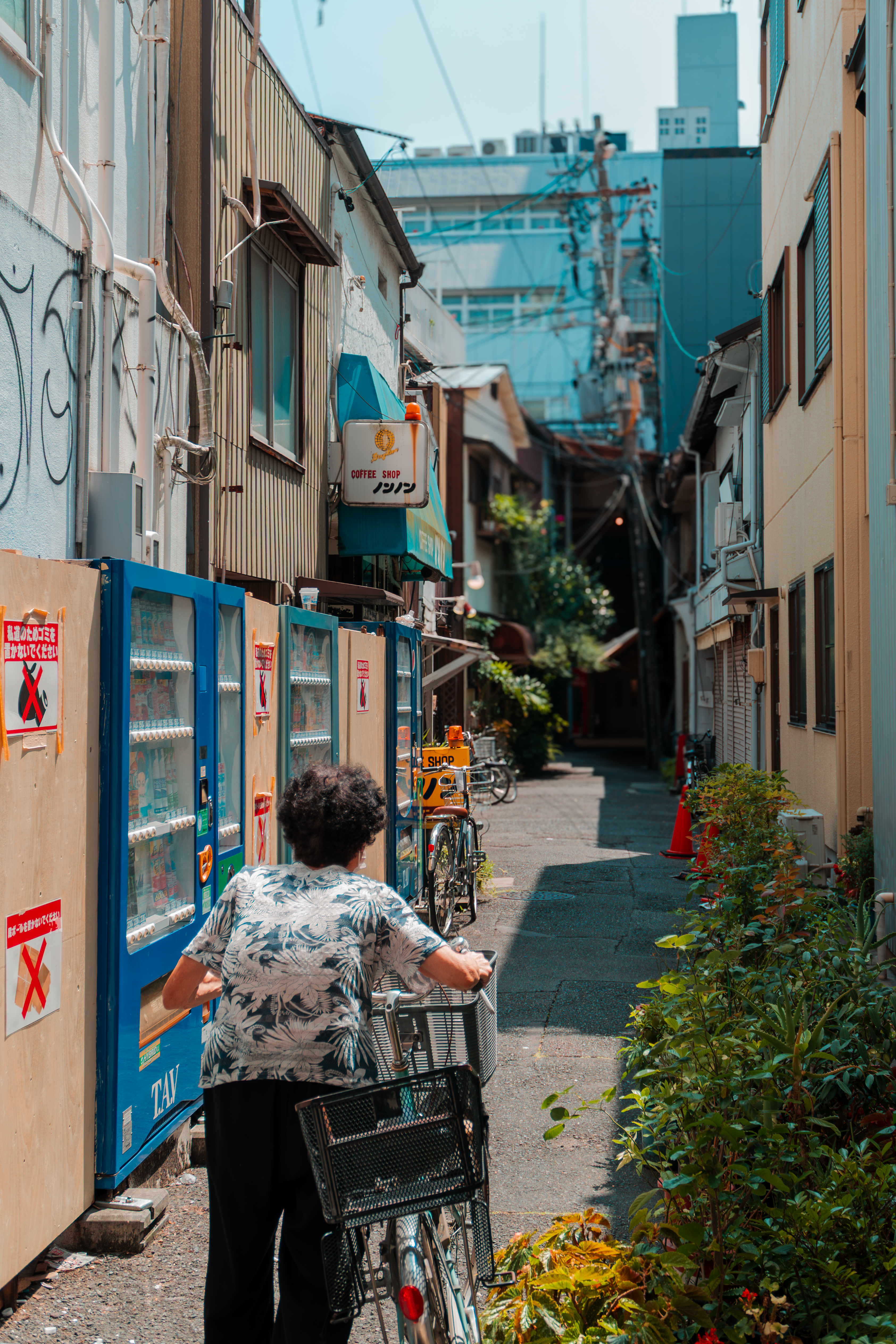 孤街小巷老奶奶