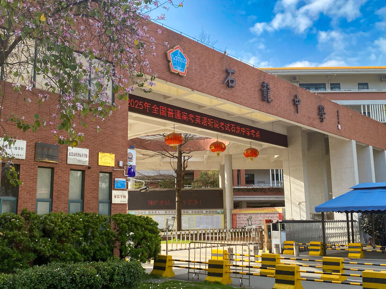 97天 96天 英语听说 空壳